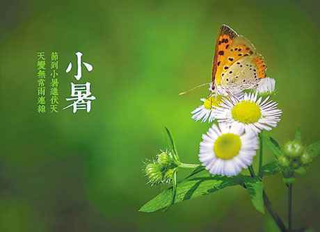 小暑养生：小暑养生要过六关吃三宝