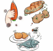 日本一托儿所发生食物中毒 从食物中检测出沙门氏菌