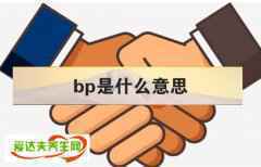 求解bp是什么意思