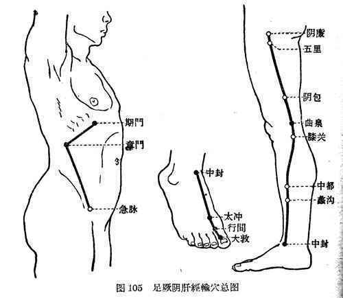 中医养生：心烦燥热肝火旺 试试敲打腿内侧