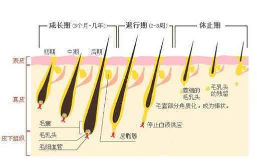 激光手臂脱毛副反应少吗