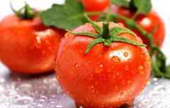 物美价廉的防癌高手 竟然是它“西红柿”