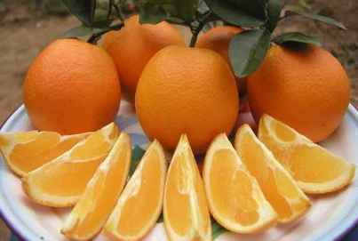 柑橘家族里的营养高手都有哪些 柑橘类水果的功效