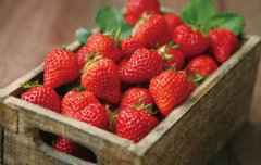 春季草莓千万别多吃 草莓吃多了易患3种疾病