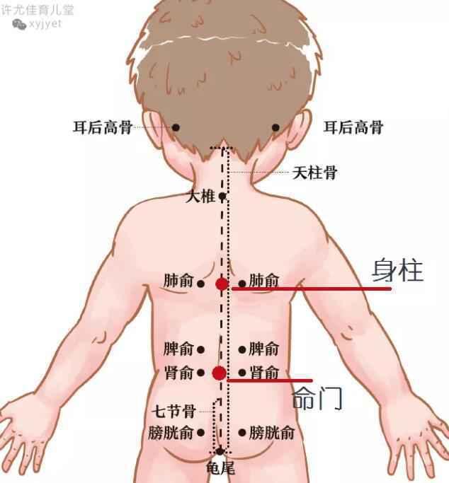 夏天湿热还用艾灸给宝宝驱寒？专家：认准四个