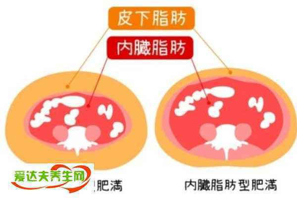 皮下脂肪怎么减