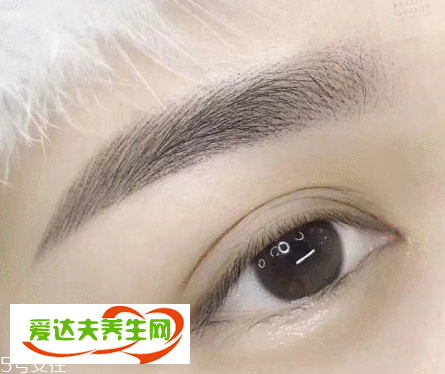 纹眉