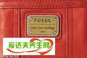 fossil包