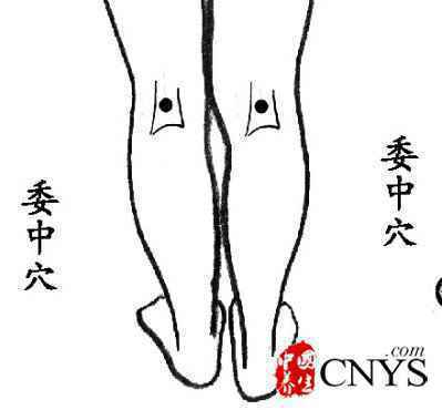 女性养阴补肾 常按8大穴位