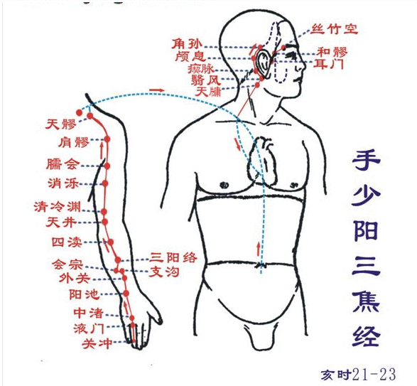 手少阳三焦经