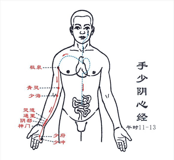 手厥阴心包经