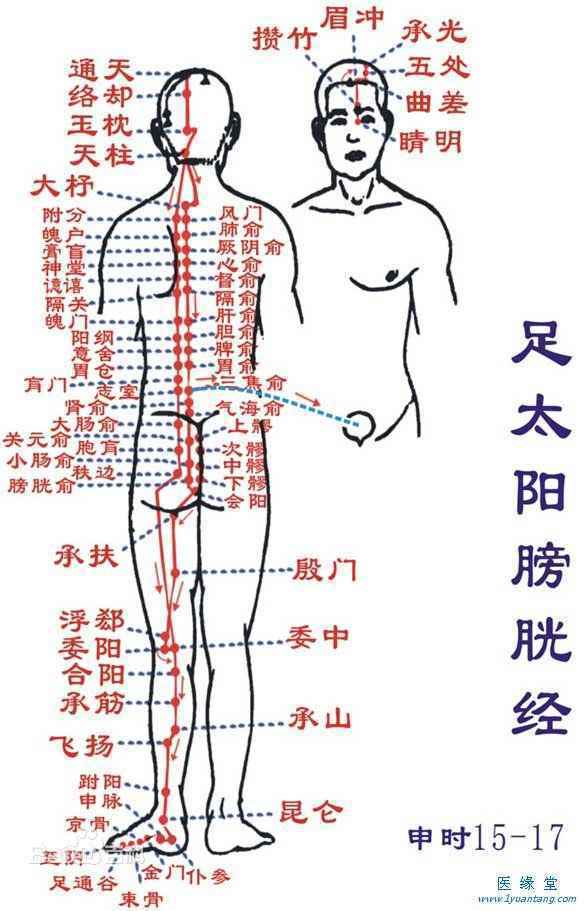 足太阳膀胱经