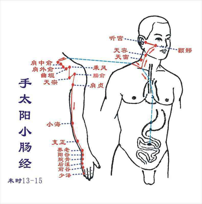 手太阳小肠经,十二经脉之一.