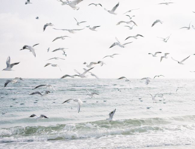 漂流 漂流