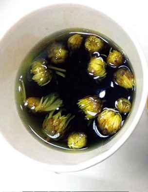 胎菊泡茶功效强 四个禁忌要注意