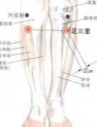 养生长按4穴位 身体强健不生病