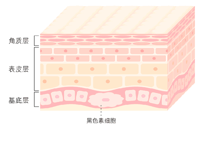 反转了？早早长白头发，不是未老先衰，而是为了对抗痴呆？