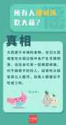 <b>“万能大蒜”治百病？这些有关大蒜的谣言你信了吗？</b>