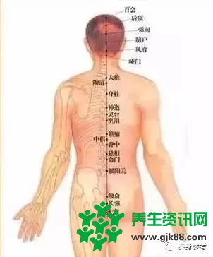 一套从头练到脚的经络操比三伏贴还管用！三伏