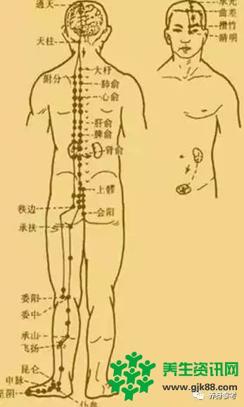 一套从头练到脚的经络操比三伏贴还管用！三伏