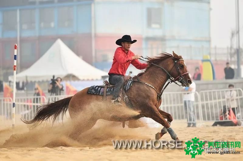 2018中国马文化摄影大赛（潍坊滨海站）邀约通知