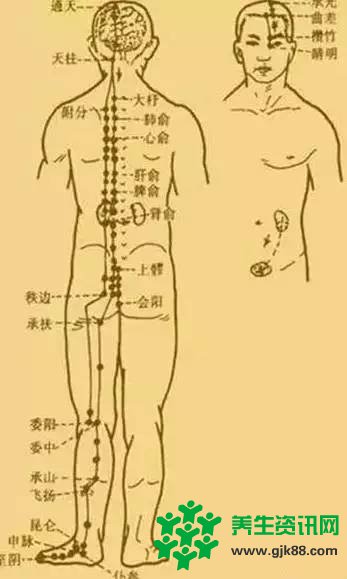 一套从头练到脚的经络操比三伏贴还管用！献给