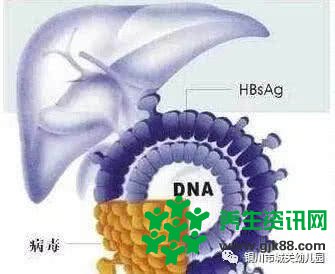 秋季常见传染病预防知识