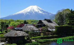 头条｜解密多元日本聚焦北方大陆家和联盟海外