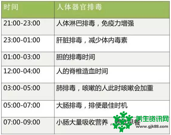 网传“人体排毒时刻表” 7大传言逐个击破