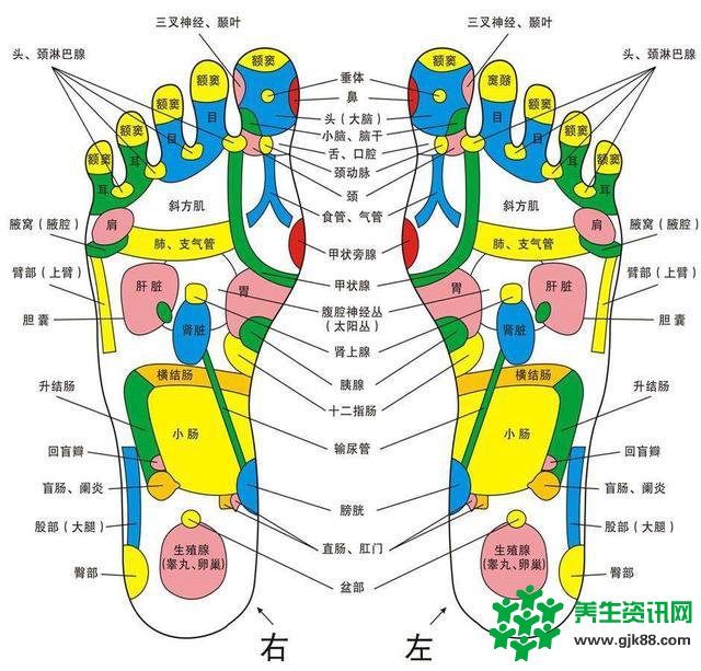 白露昼夜温差大失眠者秋季养生之道——“捂这