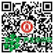 一带一路绿色电力合作路线将分三个阶段实施 新