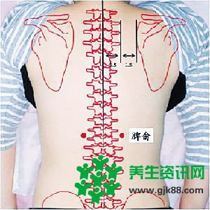 夏季养生保健 试试按摩这5个健脾胃的穴位（全文