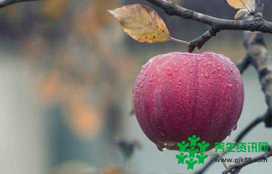 【养生】秋日养生水果全知道健康过好每一天！